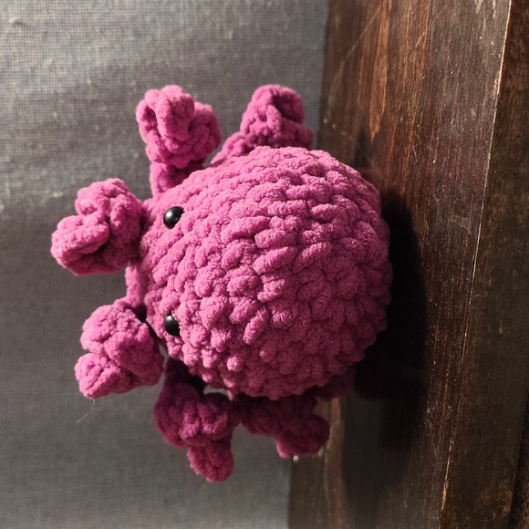 Mini octopus - Picture 4 of 5